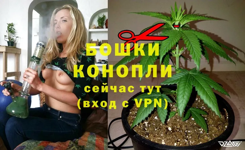 как найти наркотики  Алушта  Бошки марихуана White Widow 